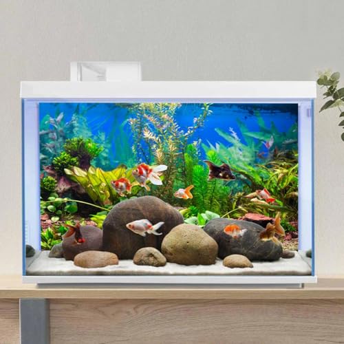 48x20 in Aquatic Plant Aquarium Backdrop Riverbed Fish Tank Background | AWERT Lush Underwater Green Plants Lake Landscape Vinyl Aquarium Background - size: 48x20in/120x50cm