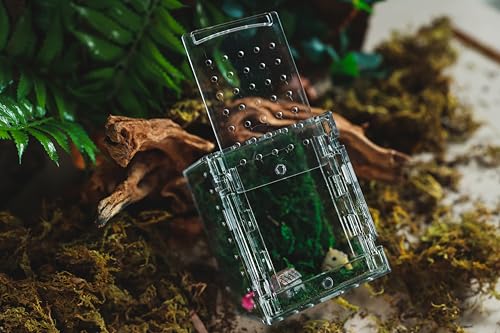Acrylic Jumping Spider Enclosure -Clear Reptile Habitat Box for Tarantula, Mantis, Insects, Snail, Frog, Caterpillar – Ventilated Mini Terrarium Display Case with Lock Lid & Feeding Port