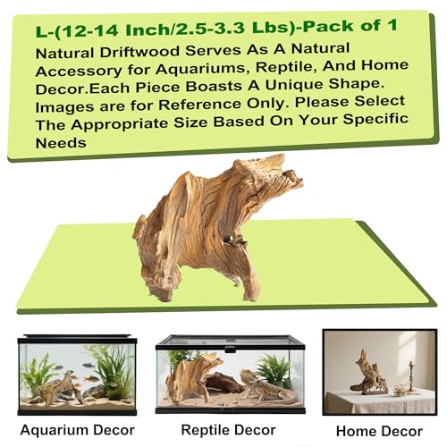 Natural Driftwood for Aquarium Decor,Reptile Habitat&Home DIY Decor,Naturally Unique Shapes Weathered Wood,Easy to Use (L-(12-14 Inch/2.5-3.3 Lbs)-Pack of 1) - color: L-(12-14 Inch/2.5-3.3 Lbs)-Pack of 1
