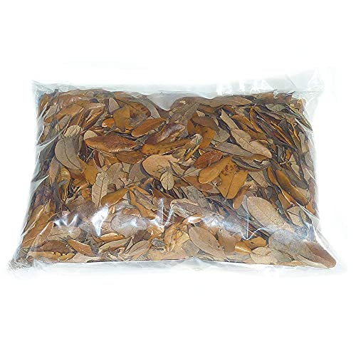 XYZReptiles Premium Live Oak Leaf Litter Isopod Substrate Terrarium Bedding (1 Gallon) - size: 1 Gallon
