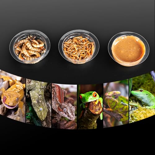 REPTIZOO 30PCS Feeding Cups for Reptile Magnetic Feeder Ledge, Replacement Cups for REPTIZOO Food Water Feeder Dish Gecko Feeding Ledge