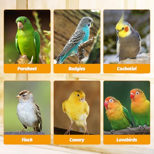 BNOSDM No Mess Bird Feeder Transparent Automatic Bird Cage Feeder with Perch Acrylic Parrot Food Container Parakeet Cage Accessories for Parakeets, Budgies, Cockatiel, Finch, Canary, Lovebird (Yellow) - color: Yellow