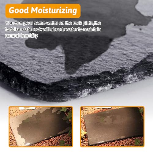 Tfwadmx Reptile Basking Platform 16 x 10 inch, Large Tortoise Feeding Bathing Area Natural Rock Reptile Food Bowl Landscape Habitat Decor for Turtle Lizard Bearded Dragon Crested Gecko Snake - size: 1pcs-16"x 10"
