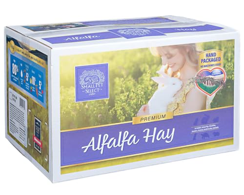 Small Pet Select Alfalfa Hay Pet Food, 20 LB - size: 20 Pound (Pack of 1)