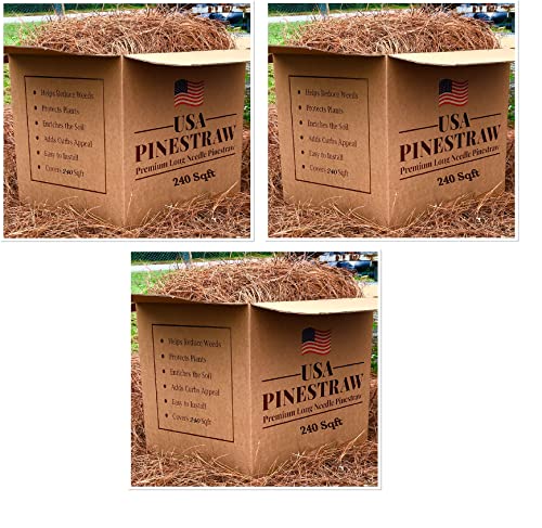 Long Needle Pine Straw Mulch - 240 Sqft Coverage 3 Set - Premium USA Harvested PineStraw for Landscaping, Weed Control, Moisture Retention & Erosion Control - USA Pinestraw - size: Long Needle - 240 Sqft - New Bigger Box 3 set