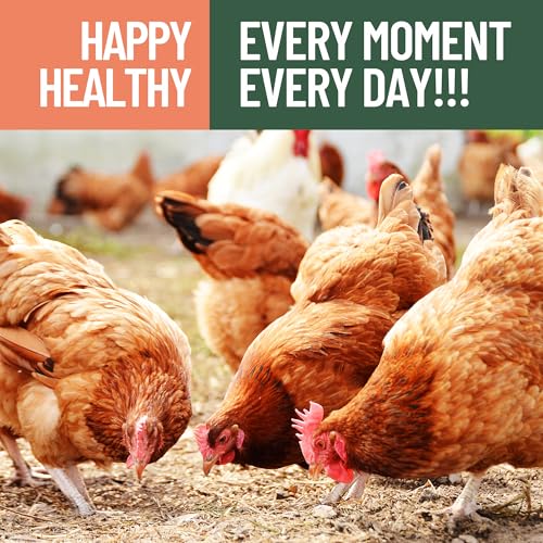 30LB Premium Non-GMO Dried Mealworms - High-Protein Natural Feed & Chicken Treats for Chickens, Ducks, Wild Birds, Quails & Reptiles - Support Egg Production & Feather Growth - size: 30 Pound (Pack of 1)