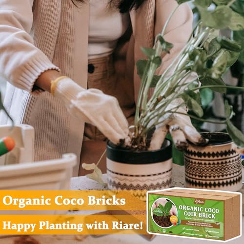 Riare 2pcs Organic Coco Coir Bricks, Natural Coconut Coir for Plants | High Expansion & Moisture Retention Coconut Husk Fiber for Seed Starting, Potting Mix, Composting, Soil Amendment & Reptiles - color: Pack of 2