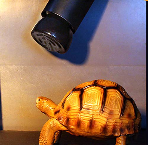 50W Mini Reptile Heat Lamp Bulb E26 Base Non-Light Emitting Infrared Ceramic Heat Emitter for Terrariums Turtles, Lizards, Snakes, and Small Pets 2-Pack