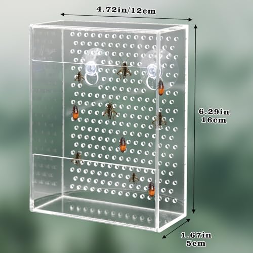 Bearded Dragon Feeder, Chameleon Bug Bowl, Transparentk Acrylic Reptile Feeder Box, Wall-Mounted Insect Food Dish with Suction Cups, Tank and Aquarium Accessories for Lizard Bearded Dragon Gecko Frog - size: Small - 4.7 × 1.7 × 6.3 inch