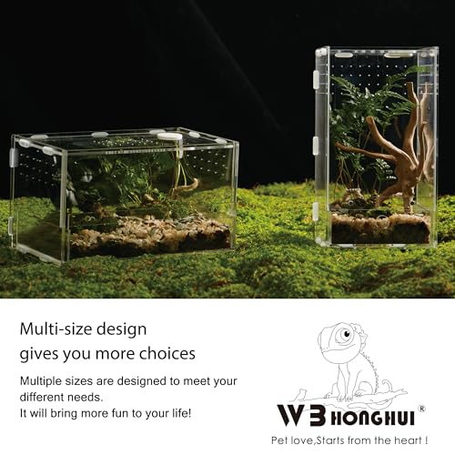 Acrylic Clear Reptile Habitat Enclosure Terrarium with Latch ,Perfect for Amphibians and Invertebrates Such as Spiders, Frogs, etc (Vertical)