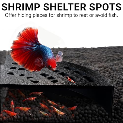 Shrimp Cave 2-Pack – Space-Saving Fan-Shaped Aquarium Cave Decor with 180° Wide-View Design, Compact Fish Tank Accessories for Cherry/Dwarf Shrimp (Black) - color: Black