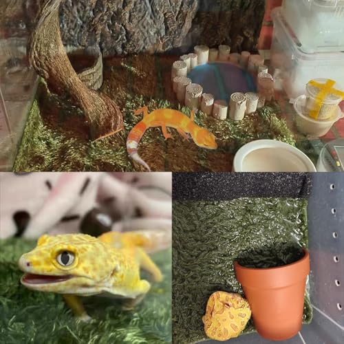 kathson 2Pcs Reptile Carpet Mat,35.4 x 17.7 in Terrarium Bedding Substrate Liner,Tortoise Imitation Rainforest Crawler Mats for Snakes Bearded Dragon Gecko Chameleon Turtles Iguana - color: 2PCS(XXL):35.43 X 17.71 in