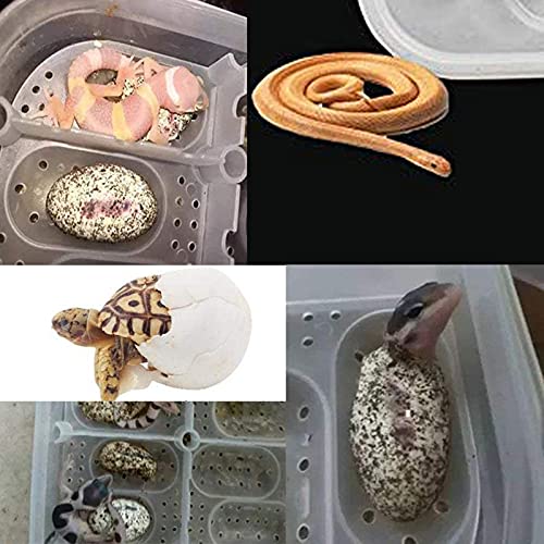 Still Awake Reptile Egg Incubator Professional Hatcher Hatching Box Case Tray Plastic Breeding Incubator for Hatching Snake,Lizards, Reptiles,Gecko(16 Slots Without Thermometer)