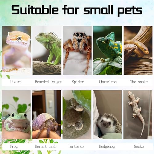 4PCS Cork Terrarium Background 15.7x11.8in Natural Cork Large Bark Climbing Mat Habitat Decoration Chameleons, Lizards, Turtles Glass Jar Decoration - size: 4PCS-15.7x11.8in