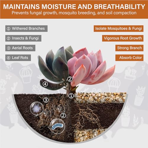 NUPICK 3-5mm Coarse Sand for Plants, 12lb Horticultural Sand for Succulents | Desert Silica Sand for Cactus, Decorative Gravel for Landscaping, Gold Horticultural Grit for Aquariums, Bonsai, Vases Filler - size: 3-5mm, style: 12lb