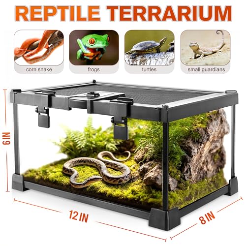 12"x8"x6" Reptile Terrarium, Escape-Proof Glass Top-Opening Vivarium for Small Terrestrial Snakes Such as Garter Snakes, with Escape-Proof Lock & Feeding Hatch - size: 12"D X 8"W X 6"H
