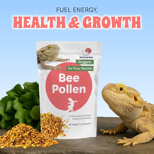 Bee Pollen Nuggets for Reptiles – Natural Supplement for Bearded Dragons, Skinks, and More – Reptile Bee Pollen Powder, Appetite Booster – 2 oz Resealable Pack