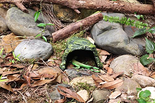 Reptile Cave Climb Hideout Hideaway – Stone Cave Shelter Hiding, Decorative Resin for Aquariums & Terrariums. Ideal for Amphibians,Lizards,Snakes,Bearded Dragons,Geckos,Scorpions,Frogs... Large Size - style: StyleC-Green(Medium Size)