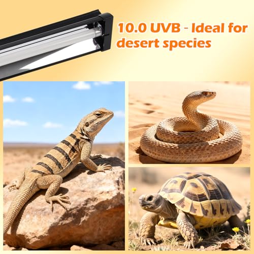 T5 UVB Reptile Light Fixture Combo Kit 8W 10.0 – Complete HO UVB Light for Reptiles with 12.44" Terrarium Hood, Desert UVB Bulb for Bearded Dragon Gecko Tortoise Lizard – Easy to Install and Use - size: 10.0-12.44 in
