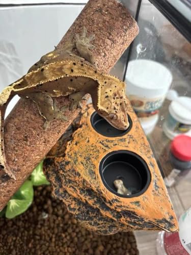 Reptile Magnetic Feeder Ledge, Reptile Food and Water Dish with 2PCS Bowls Feeding Cups for Lizards, Crested Gecko, Lizards and Chameleons Pets, Easy Install Terrarium Tank Accessory (Dual Feeder)