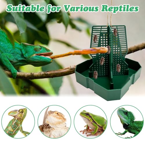2PCS Reptile Hunting Bowl,5.8"×5.8"×6.1" H Insect Feeding Box with Rope and Tweezers Chameleon Feeder Bowls Hanging Bearded Dragon Bug Bowls Mounted Insect Reptile Feeder Box (Green,Large) - color: Green, size: Large:5.8"L×5.8"W×6.1"H