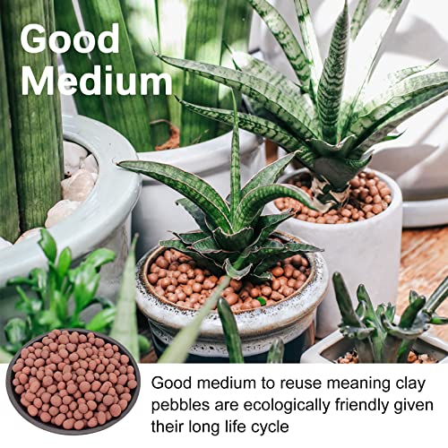 5LB LECA Explanded Clay Pebbles, 14-16mm Lightweight Clay Aggregate for Hydroponic Growing, Premium Grow Media for Orchids, Aquaponics Plants and Horticultural Drainage, Natural - color: Brown