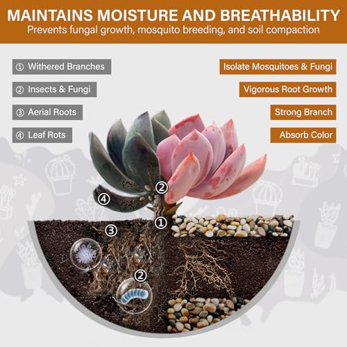 NUPICK 12lb River Rocks for Plants Indoor, Mixed Pebbles for Vase Fillers | 3/8 Inch Decorative Pea Gravel for Fish Tank, Natural Polished Stones for Succulent, Bonsai, Landscaping, Bird Baths - color: Mix, size: 12Lb