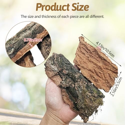 BNOSDM Reptile Cork Bark Substrate 0.6LB Tortoise Bedding for Habitat Natural Flat Cork Wood Bulk Terrarium Reusable Champagne Bark for Lizard, Crested Gecko, Spider, Chameleon, Ball Python, Tree Frog - size: 0.6LB