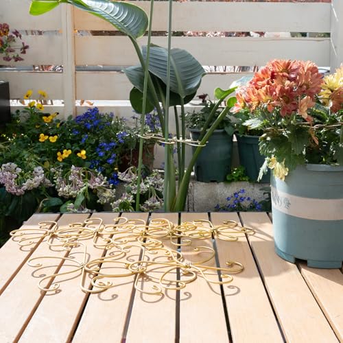 5PCS Monstera Plant Support Hooks - 6.5" Durable Metal Stabilizers | 5Pcs Gentle Leaf Holder for Monstera & Fishbone Cactus - Plant Accessory for Indoor Gardening - Perfect Gardening Gifts - size: 6.5 x 6.5 inches