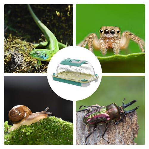 Plasti c Reptile Terrarium Carrier Cage with Handle & Tray, Portable Breathable Reptiles Feeding Box Clear Travel Carrier for Small Reptile Amphibians, 19 x 12.5 x 9.5 cm
