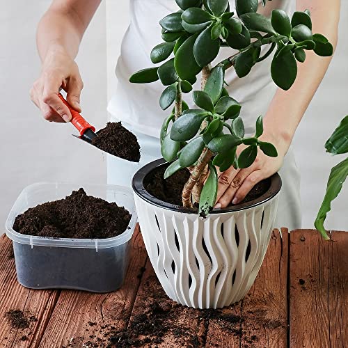 Back to the Roots 100% Organic Indoor Potting Mix (6 Quart), Promotes Healthy Houseplant Growth, Made in The USA - size: 6 Quart, style: Indoor Soil