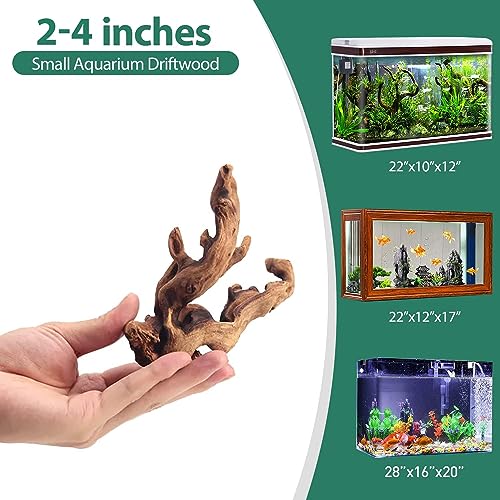 WDEFUN Natural Driftwood for Aquarium Decor, 10-Piece 2''-5'' Small Driftwood for Decorations on Fish Tank, Reptiles Bearded Dragon Accessories or Air Plants - size: Mopani driftwood (2-5 inch pack of 10)