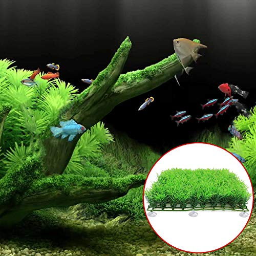 FEBSNOW Aquarium Suction Cups with Ties, Fish Tank Plant Holders | 10 Pack Clear Suction Cups, 30 Pcs Adjustable Cable Ties, for Aquarium Fish Tank Plants Moss Shrimp Nest, Strong Grip Hold