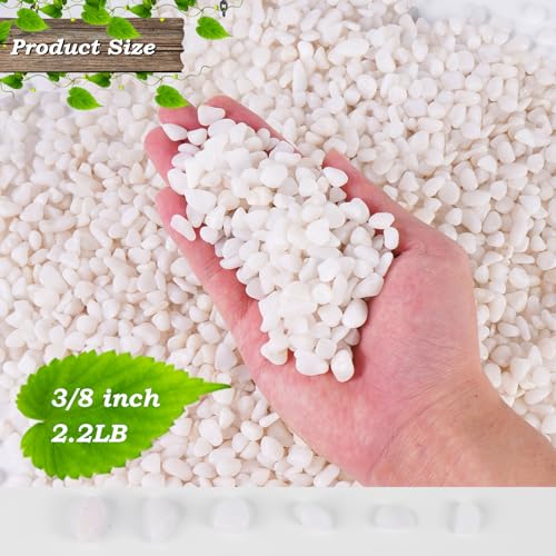 2.2 lbs White Pebbles, 3/8 inch Pebbles for Plants, Small Rocks for Plants, Suitable for Succulent Plant Decoration, Vases, Cactus Potted Plants, Fish Tanks - color: White, size: 3/8 Inch 2.2 LB
