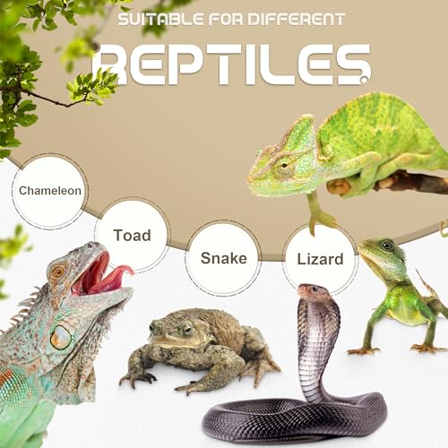 Chameleon Feeding Bowl, Hanging Insect Feeder with a Pillar for Prey to Climb Up, Suitable for Chameleon, Bearded Dragon, Lizard, Iguana, Gecko(Khaki) - color: Khaki