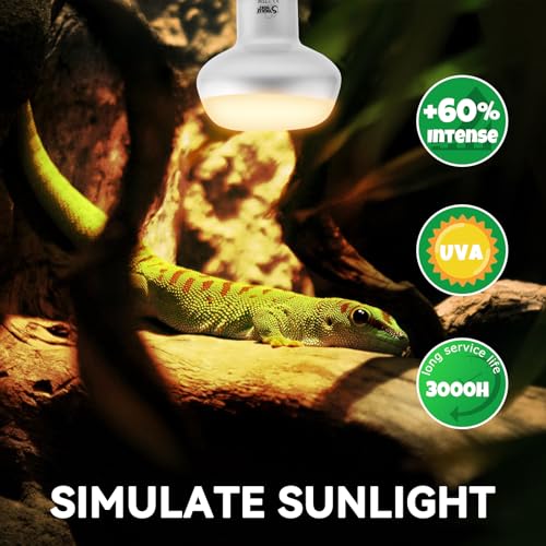 LUCKY HERP Intense Heat Lamp Bulbs for Reptiles 75W 2 Pack, UVA Daylight Reptile Heat Lamp, Reptile Basking Heat Light Bulb for Amphibian, Tortoise, Bearded Dragon, Lizard, Turtle, Snake Heating Use - color: Natural Basking Light Bulb, size: 75 Watts