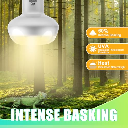Reptile Heat Lamp 2Pack 100W, Intense Basking Spot Light Bulb with UVA, Simulate Natural Daylight Heat Bulb for Reptile, Turtle, Bearded Dragon, Lizard, Tortoise, Gecko, Snake - color: Intense Light, size: Intense 2*100