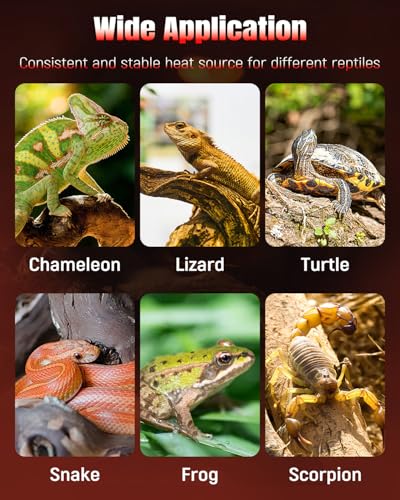 Pawfly 14 W Reptile Heat Pad 11 x 5.9 Inch Reptile Heating Pad Under Tank Terrarium Safe Fast Heating Mat Heat Mat for Turtles Frogs Snakes Lizards Geckos Hermit Crabs Spiders & Other Reptiles - size: 14W ( 11 x 5.9 Inch)