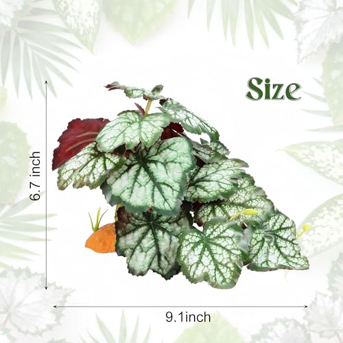 Reptile Plants Terrarium Hideaway Amphibian Habitat Fake Saxifrage | Imitation Reptile Plant Decoration with Base Tank Accessories for Terrarium Ball Python Bearded Dragon Gecko Lizard Tortoise - color: Fake Saxifrage