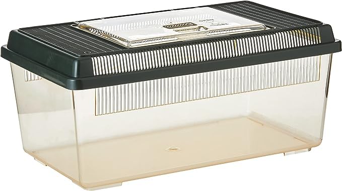 Exo Terra Faunarium Reptile Terrarium, Medium (14" x 8" x 6") | Flat Home Plastic, Perfect for Temporary Housing, Quarantine, or Transport, Transparent Plastic Door for Easy Access - size: Medium