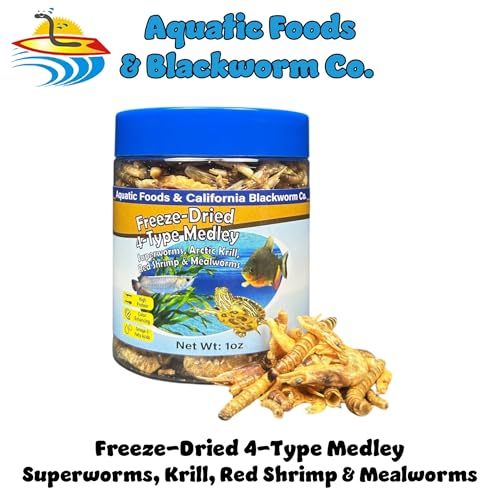 4-Type Medley Freeze Dried Superworms, Krill, Shrimp, Mealworms... 1oz Can | 4-Type Freeze-Dried Medley for Monster Fish, Reptiles, Turtles, Tortoises, Frogs, Hamsters, Birds, Rodents - size: 1 Ounce (Pack of 1)