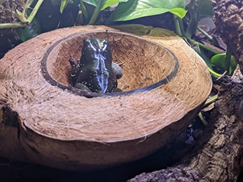 Josh's Frogs Natural Coco Bowl