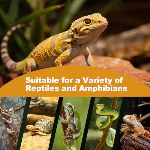 2Pack Reptile Heat Lamp, 150W Reptile Heat Emitter Infrared Basking Spot Light, UVA Daylight Heat Lamp Bulbs for Chickens Coop Reptiles Pets Brooder Use - style: 150W Reptile Heat Lamp