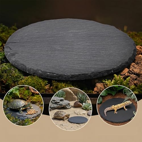 Reptile Basking Platform 6" Round Slate Rock Plate, Natural Tortoise Feeding Bowl Resting Stone for Bearded Dragon Turtle Lizard Gecko