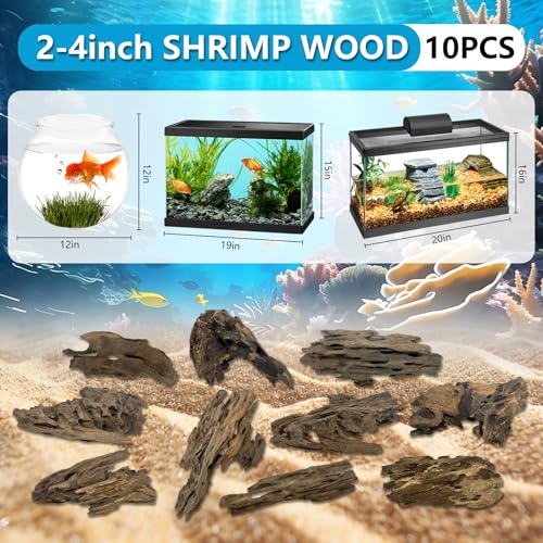 10 PCS Natural Honeycomb Wood 2-4", Porous Aquarium Driftwood | Cholla Wood Shrimp Shelter Breeding Cave, Shrimp Dragon Wood for Fish Tank, Aquascaping, Reptile, Terrarium Decor - color: Shrimp Wood 2-4in(10PCS)