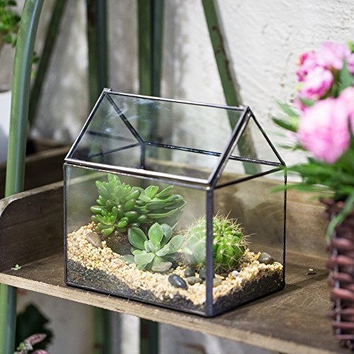 NCYP Small 6.1" x 6.3" x 4.33" Glass Terrarium Box with Lid for Succulent, Air Plants - House Shape Closed Geometric Planter Pot - Home Garden Tabletop Decoration, Black (No Plants)