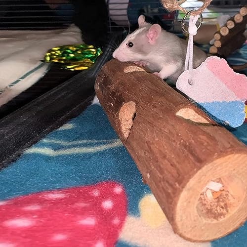 Natural Wood Tunnel Hamster Tunnel for Hamster Reptile Small Animals Cage Hollow Tree Trunk Hideout Toy (7.9"×2.7")