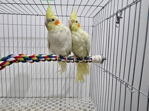 31.5'' Bendable Climbing Bird Rope Perch for Cage, Metal Nut | Bird Cage Accessories, Cotton Rope, Colorful Fun Bungee Toy, For Parrot