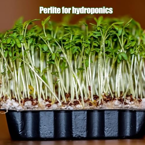 Horticultural Perlite for Plants 1qt, All Natural Horticultural Soil Additive Conditioner Mix, Improve Ventilation and Drainage, Enhance Soil Health and Root Growth - color: Perlite, size: 1qt