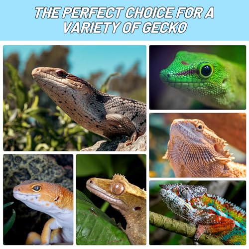 Crested Gecko Food Insect Puree, Dubia Paste Reptile Food Made with Fresh Insects Gecko Food Complete Diet 2.82oz